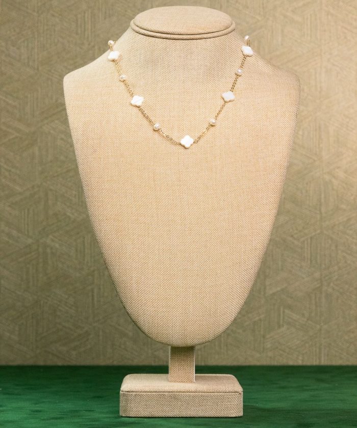 CADENA ALBA NACAR